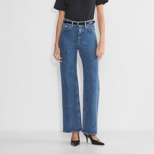 Denim Forum (Aritzia) Remy Hi-Rise Wide Jean